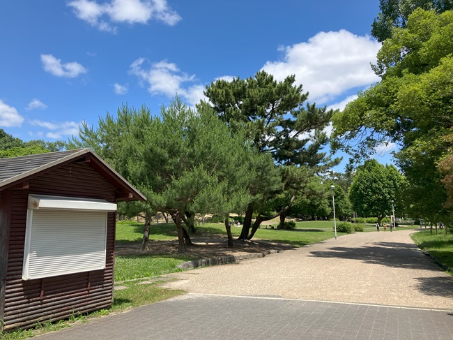 服部緑地無料BBQちかくの森