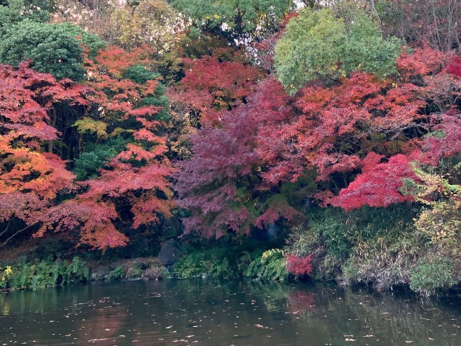 もみじの滝・紅葉渓